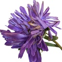 Fresh Samanthi Flowers (Chrysanthemum) for Puja | Fresh Puja Flowers
