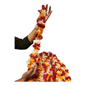 Kathambam Flower String 3 Meter wholesale pack